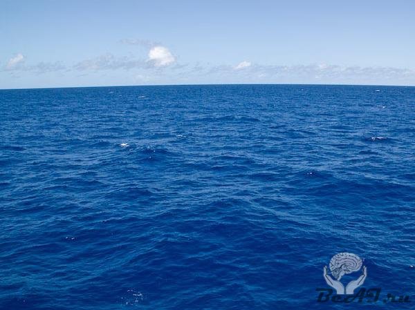 8 июня – Всемирный День Океана