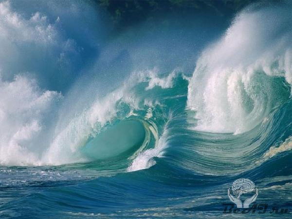 8 июня – Всемирный День Океана