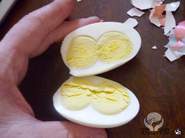 Вот такие яйца!