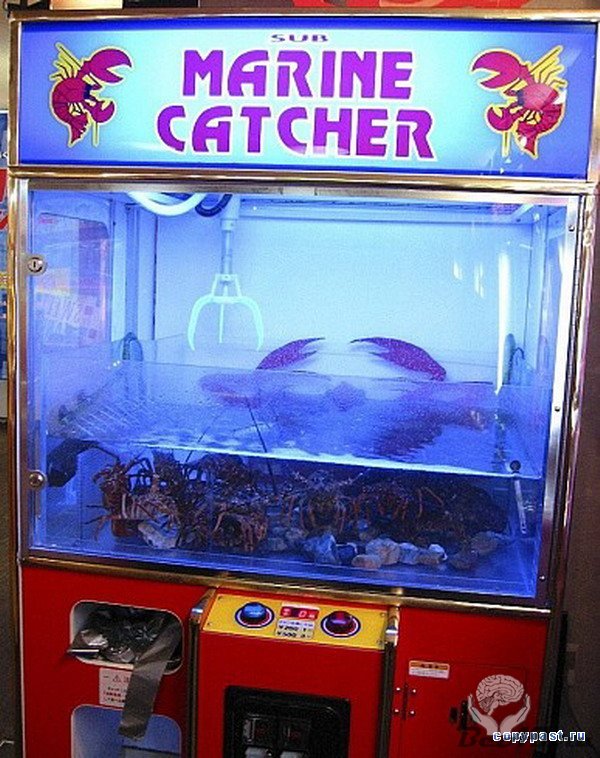 Необычный автомат из Японии
