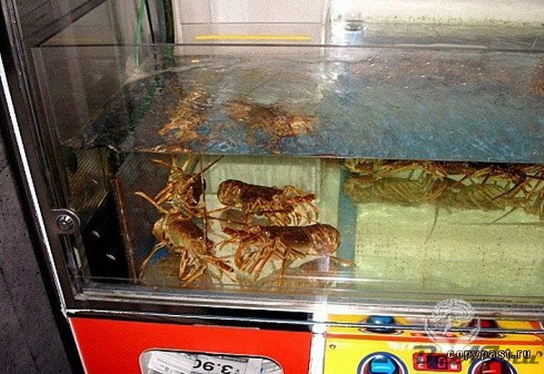 Необычный автомат из Японии