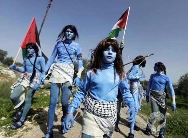 Нави в Палестине (12 фото+видео)