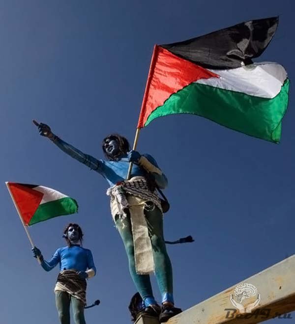Нави в Палестине (12 фото+видео)