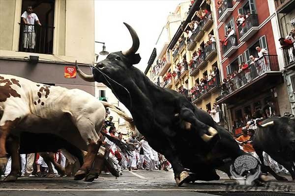 В Испании во время бега быков пострадали 27 человек