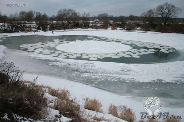Лед размножающийся кругами