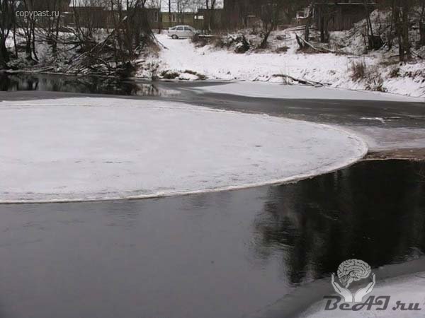 Лед размножающийся кругами