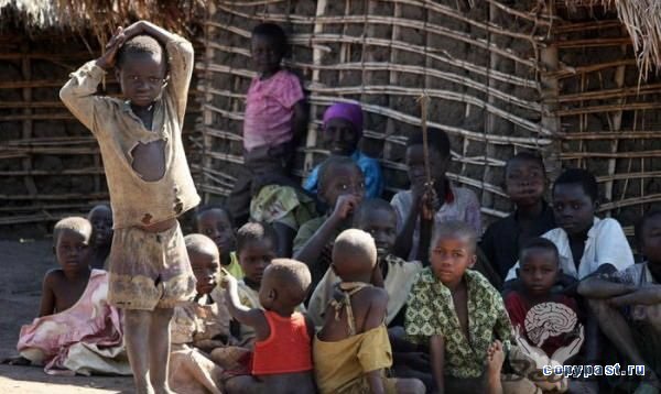 Конго: жизнь на экваторе