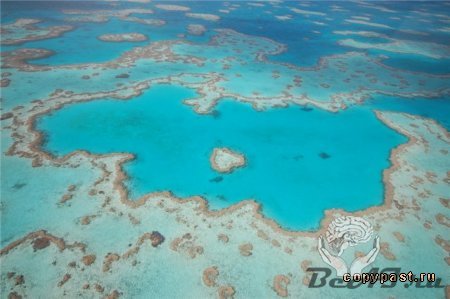 Величайший в мире комплекс коралловых рифов и островов