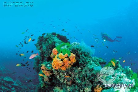 Величайший в мире комплекс коралловых рифов и островов