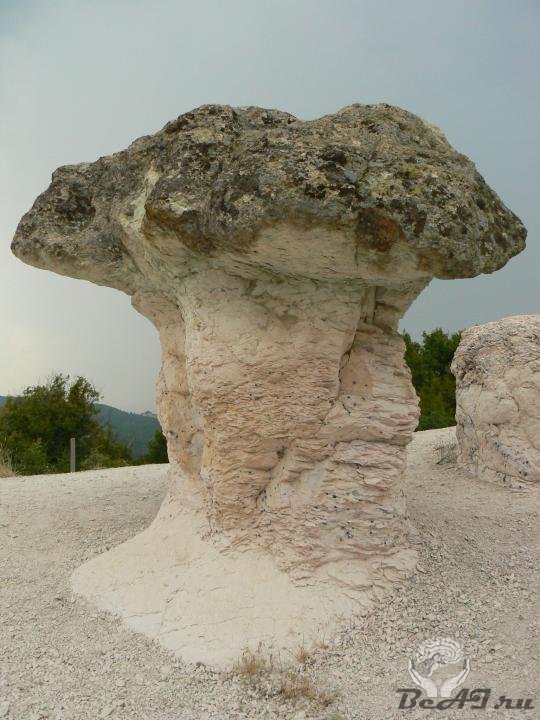 Каменные грибы в окресностях Бели Пласт
