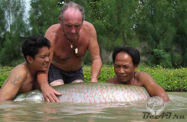 На рыбалку в Тайланд
