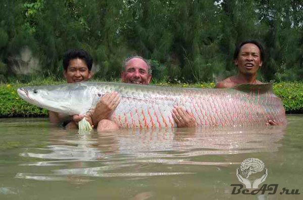 На рыбалку в Тайланд