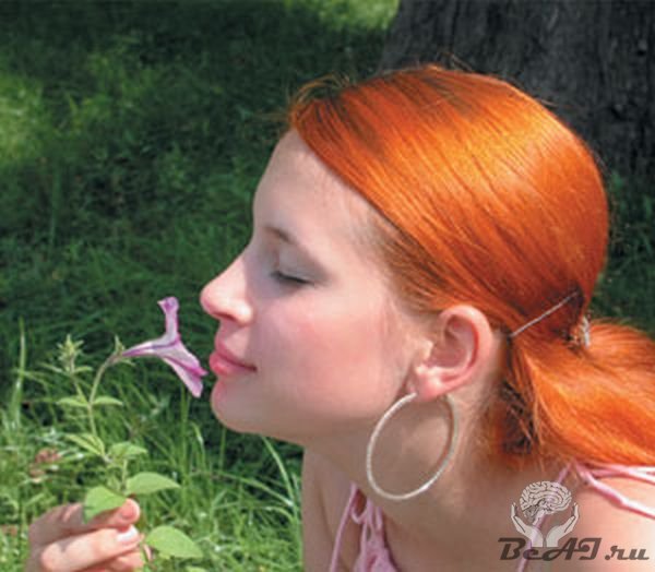 10 интересных фактов о самых полезных запахах
