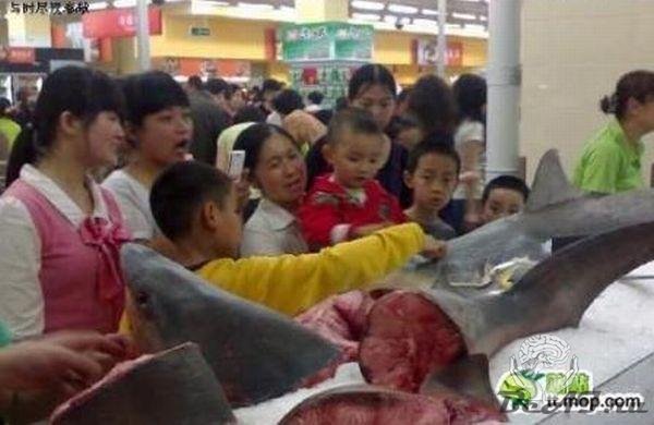 Рыбный магазин в Китае
