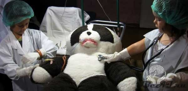Спасение панды