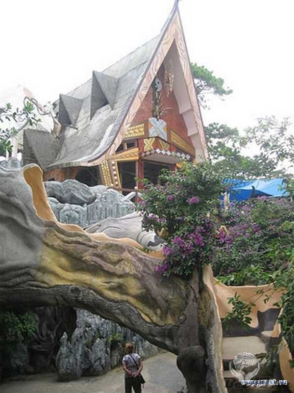 Во Вьетнаме можно с комфортом пожить внутри дерева