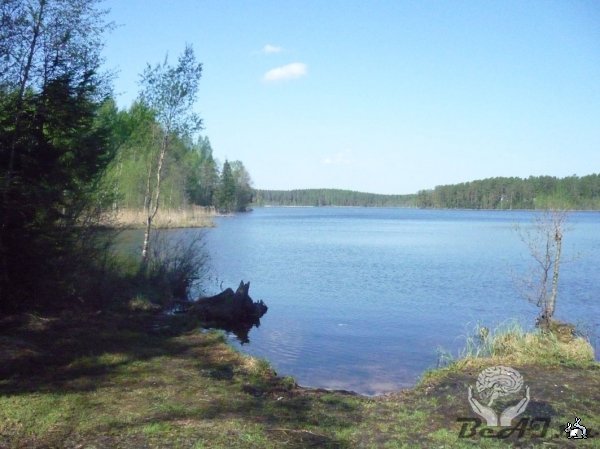 Озеро «Щучье».