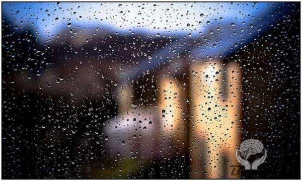 Подборка красивых фотографий дождя