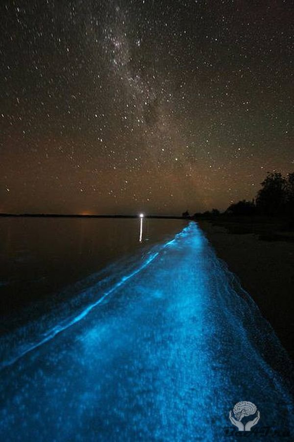 Биолюминесцентное озеро в Австралии