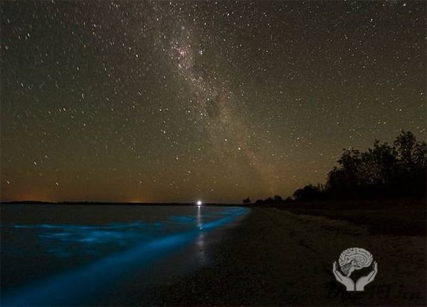 Биолюминесцентное озеро в Австралии