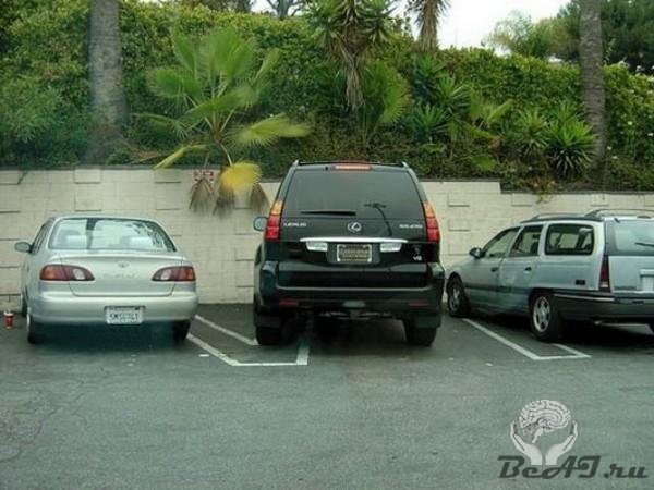 Парковка идиота