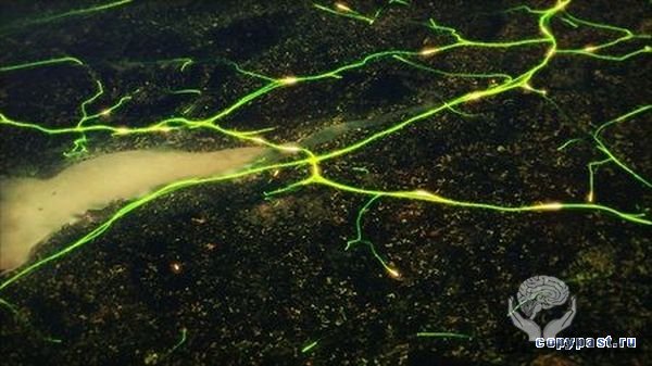 Космические снимки земных мегаполисов