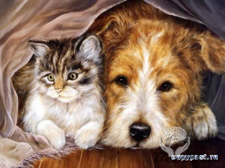 Собаки и кошки (рисунки)