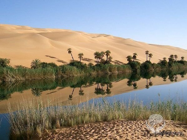Самые невероятные оазисы в пустынях