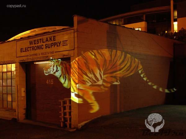 Бегущий виртуальный тигра (9 фото+видео)
