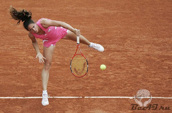 Теннисисты мира в страстном порыве(15 фото).