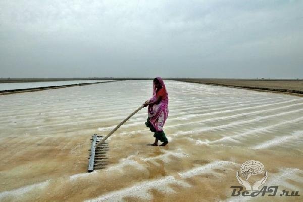 Как добывается соль в Индии и Индонезии