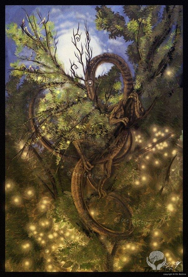 Волшебные деревья