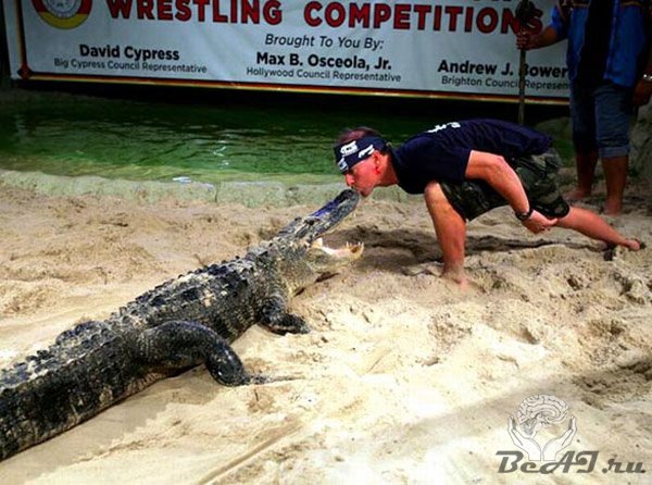 Крокодиловый реслинг