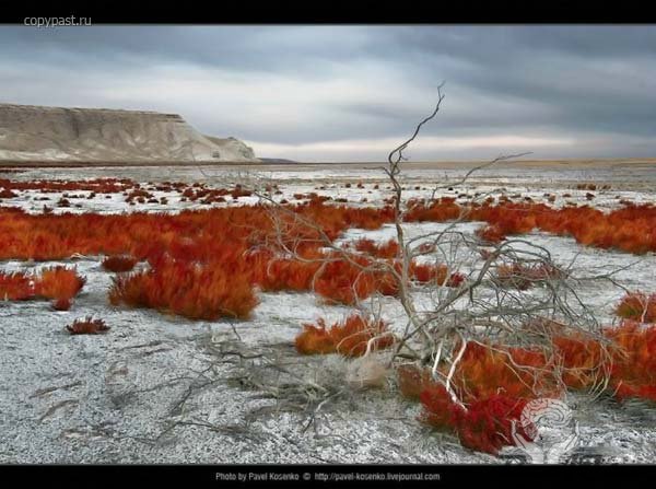 Дно Аральского озера