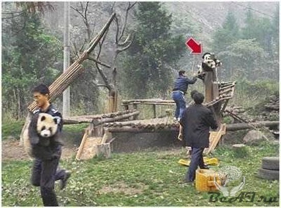 Еще одни жертвы землятресения в Китае