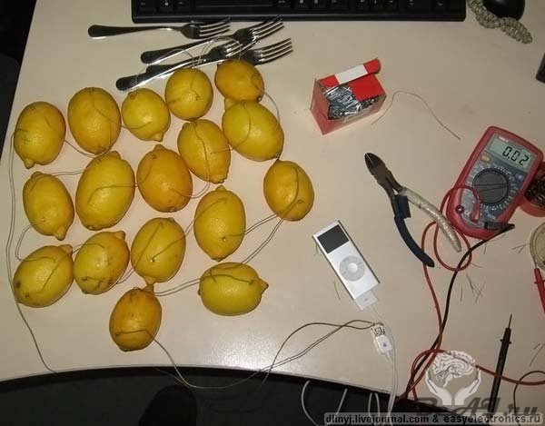 Заряжаем IPod от лимонов