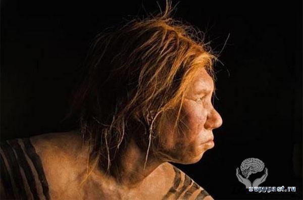 Воссоздано лицо неандертальской женщины, которой 43 000 лет