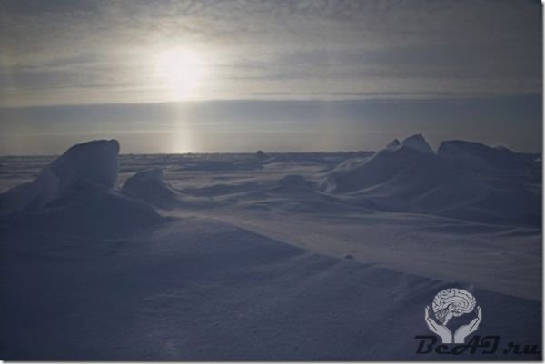 Удивительный Северный полюс (35 фото + текст)