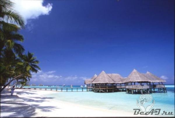 В отпуск на Мальдивы?