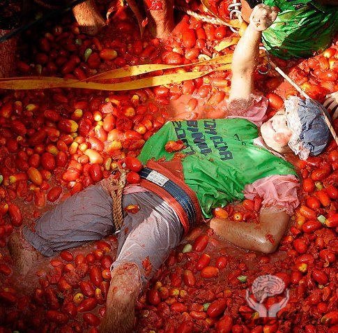 В бой с томатами в руках