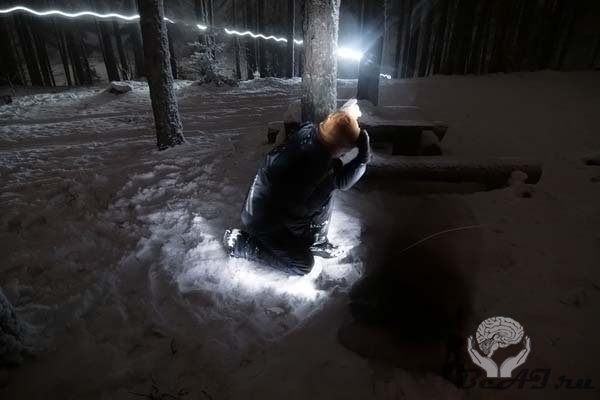 Световое шоу в зимнем ночном лесу