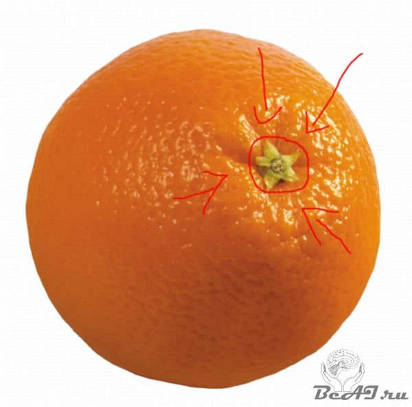 Как на спор узнать сколько долек в апельсине?