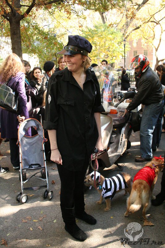 Хеллоуин парад собак