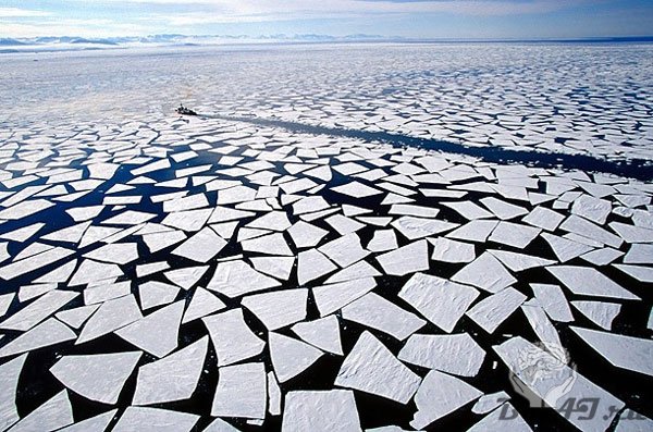Яркий мир скрытый под арктическим льдом