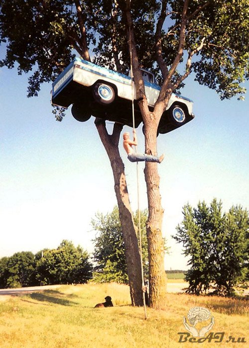 Дом-автомобиль на дереве